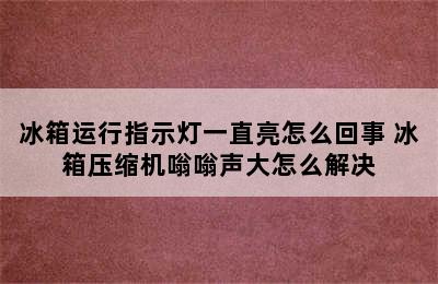 冰箱运行指示灯一直亮怎么回事 冰箱压缩机嗡嗡声大怎么解决